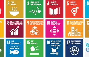 The Sdgs Grid