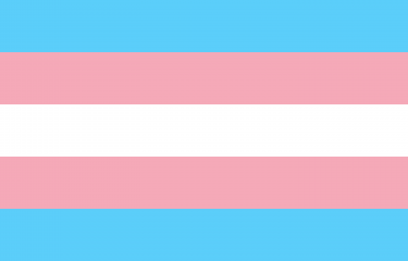 Transgender Flag