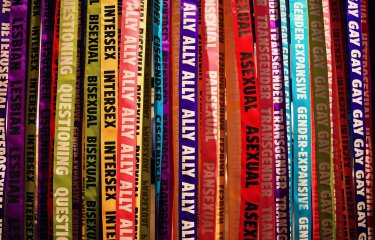 Row of book spines with titles relating to sexuality and gander.