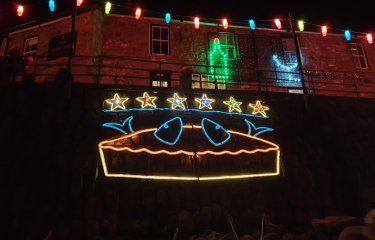 The mousehole lights of stargazy pie with fish heads coming out of a pie
