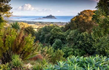 View across gardens and sea to St Michael's Mount from Tremenheere Sculpture Gardens