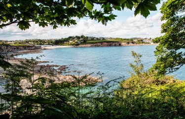 A view of Swanpool Beach framed by trees