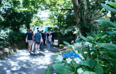 Blue and white flowers are seen in the foreground, with students walking down a pathway in the background