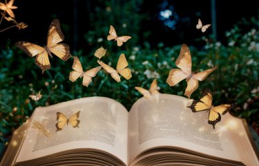 An open book in a nighttime garden with illuminated butterflies flying off of the pages