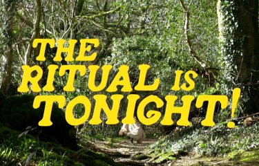 An image of a forest with the text 'The Ritual is Tonight!' in yellow text in the centre