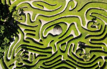 Photograph of the laurel maze at Glendurgan Garden from above