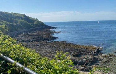 View of the sea with rocks and green shrubs