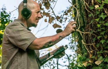 A man recording the sound of a tree 