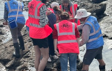 Students rockpooling