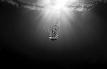'Abyss' by Gina Goodman 