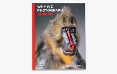 Book cover for Why We Photograph Animals by Huw Lewis-Jones