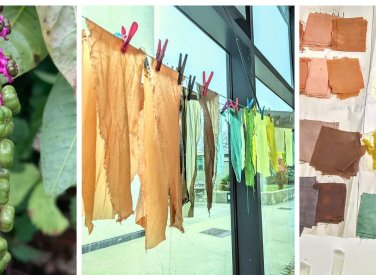 Natural Dye for Beginners