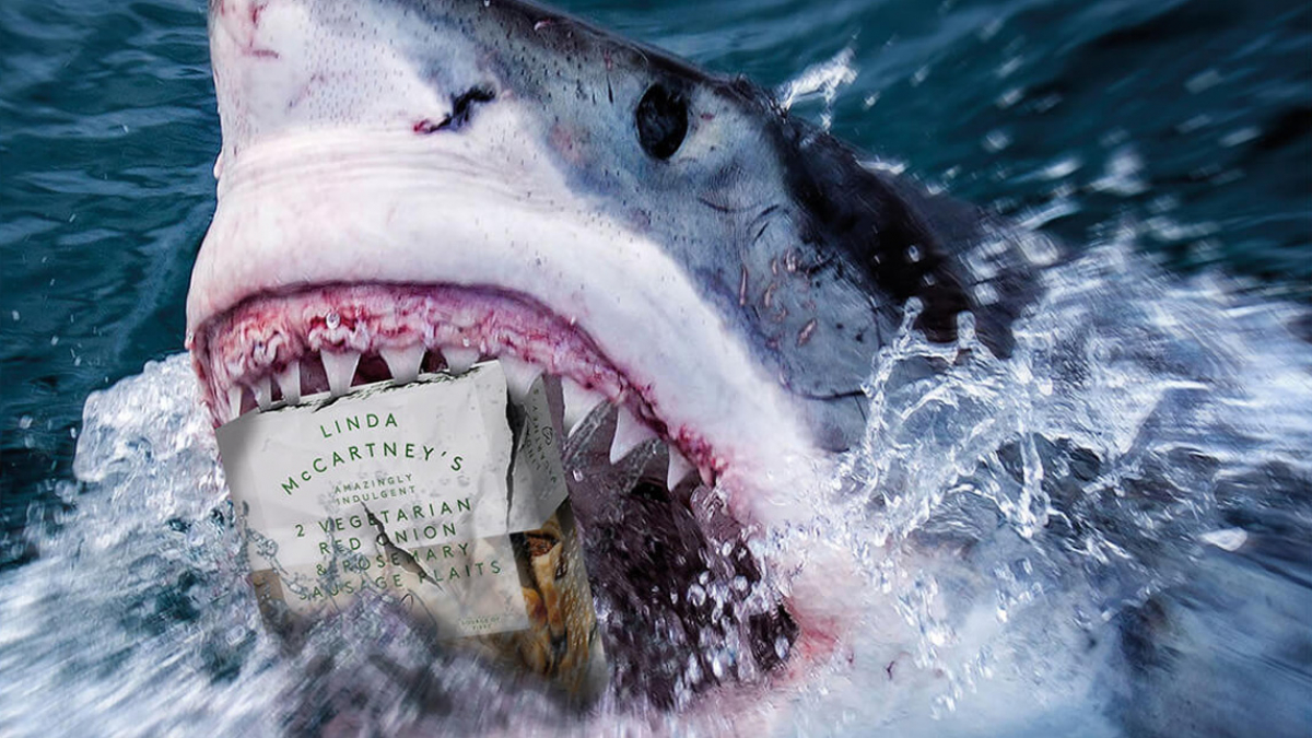 A great white shark eating a packet of Linda McCartney vegetarian sausages