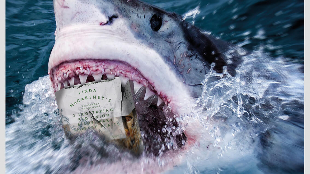 A great white shark eating a packet of Linda McCartney vegetarian sausages