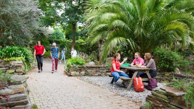 Students sitting and under a fern and walking through Falmouth campus greenery.