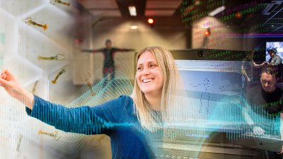 Research & Innovation 