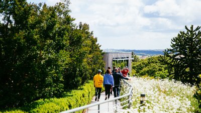 Student ambassador walking with group outside