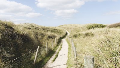 a narrow wooden path through high, grassy sand dunes