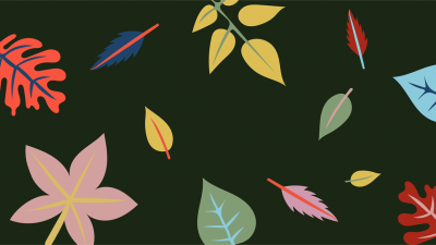 illustrations of leaves with a black background