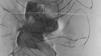Image from Translucent Surface, Quiet Body