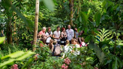 A group of students can be seen in amongst greenery at the Eden project