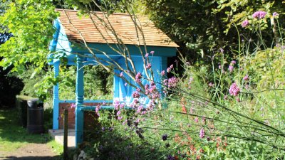 Pink flowers can be seen ahead of a blue garden hut