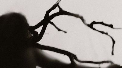 A silhouette of a person and a tree