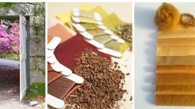 Naturally dyed yarns and an image of the garden