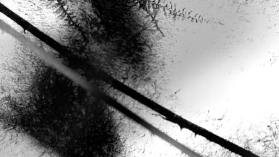 Abstract black and white photo by Jasmine Bennelick