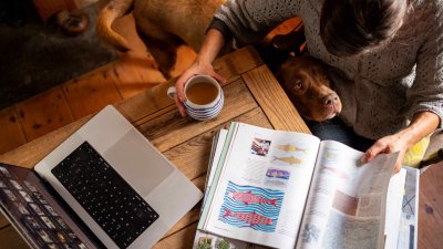 Online Study