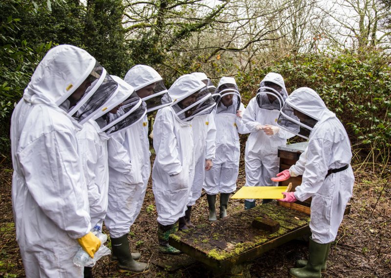 Falmouth University Bee Society wearing bee suits