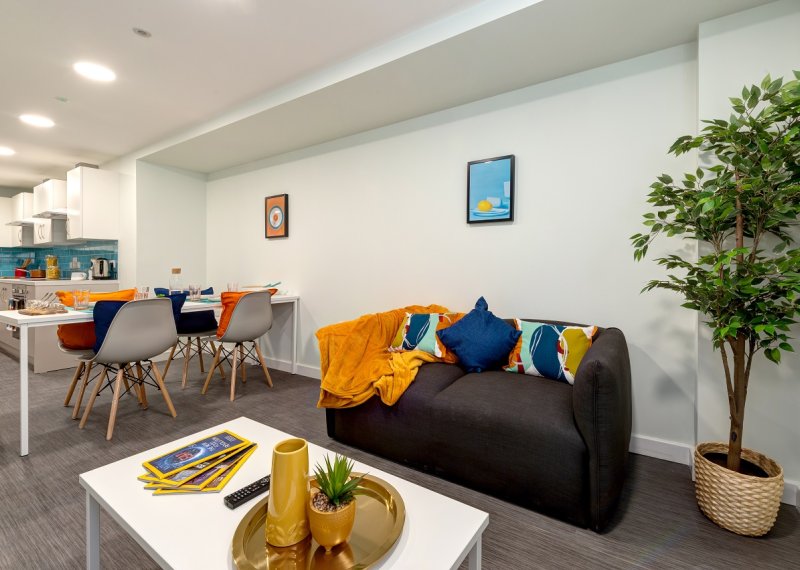 Coffee table and a grey sofa