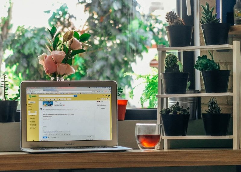 An open laptop on a table with a glass and plants posited behind