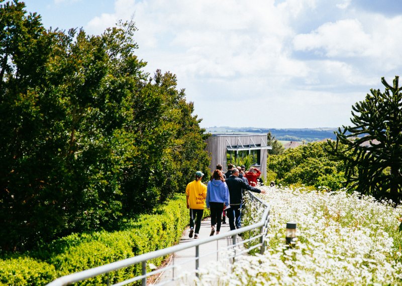 Student ambassador walking with group outside