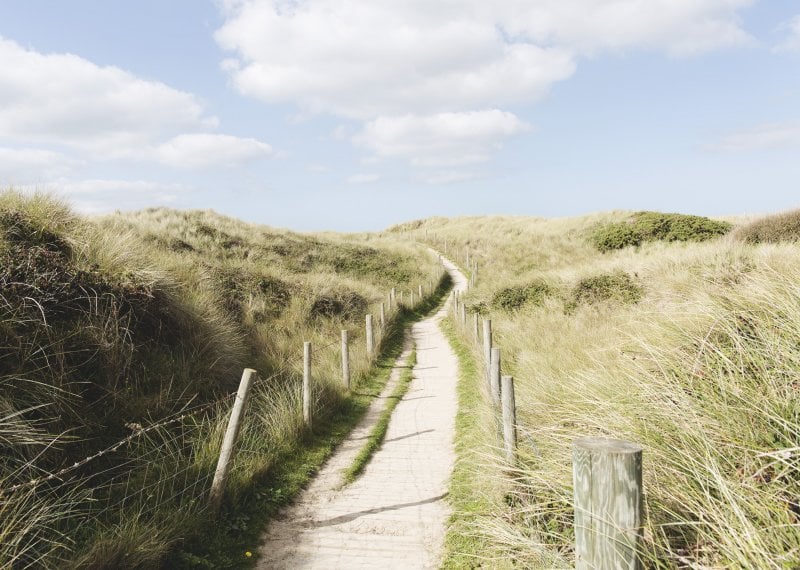 a narrow wooden path through high, grassy sand dunes