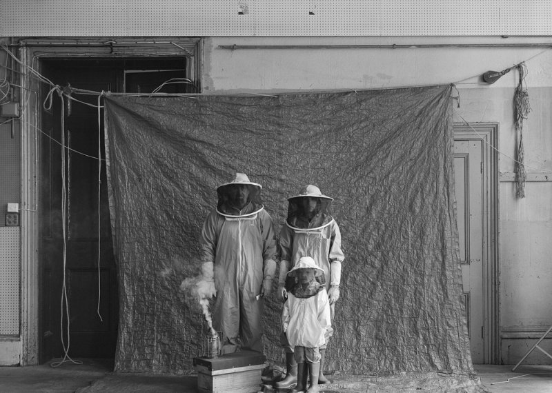 Bee Family