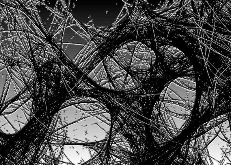 Transversal Imaginaries