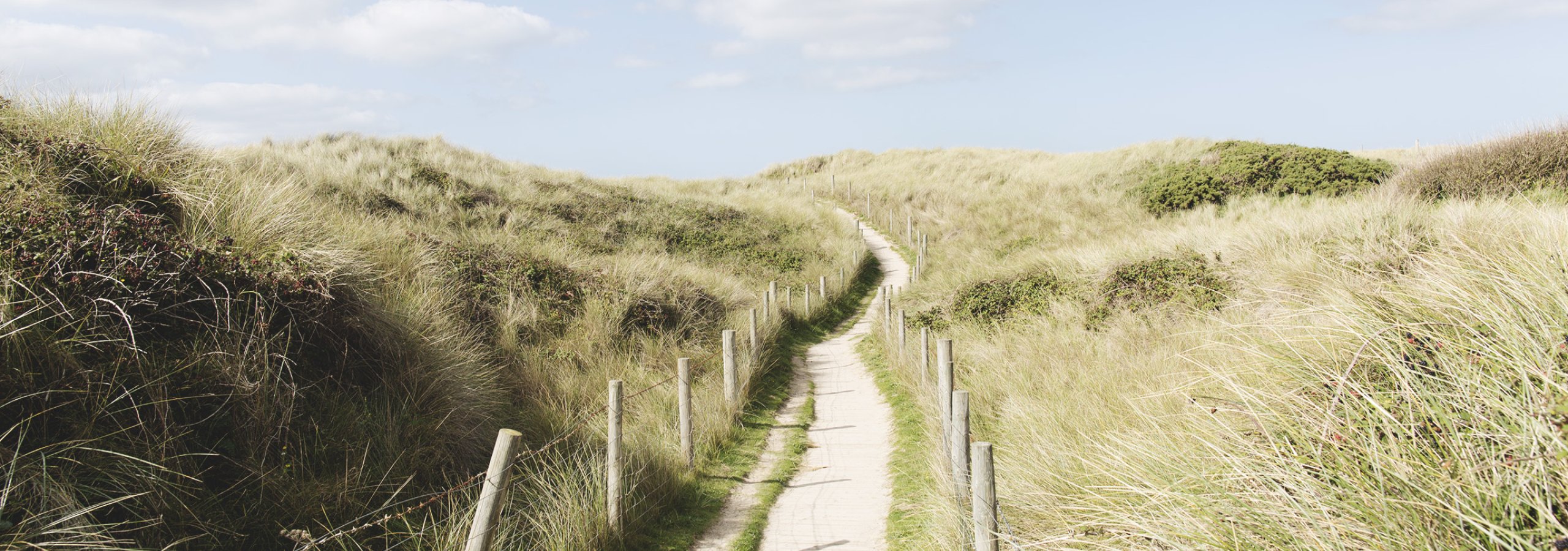 a narrow wooden path through high, grassy sand dunes