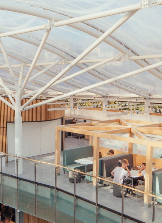 Students sit in a cafe