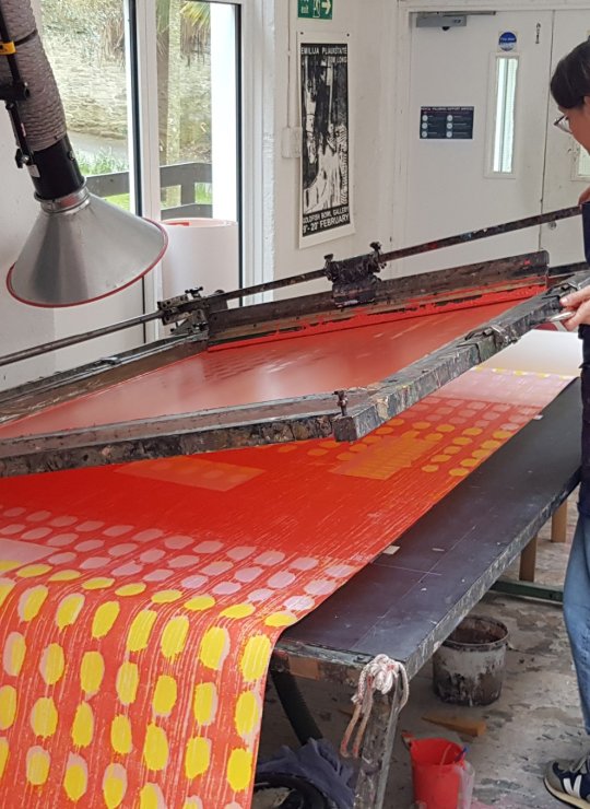 Screen Print