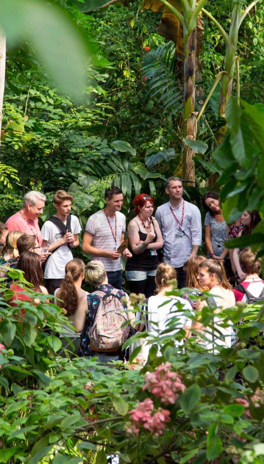 A group of students can be seen in amongst greenery at the Eden project