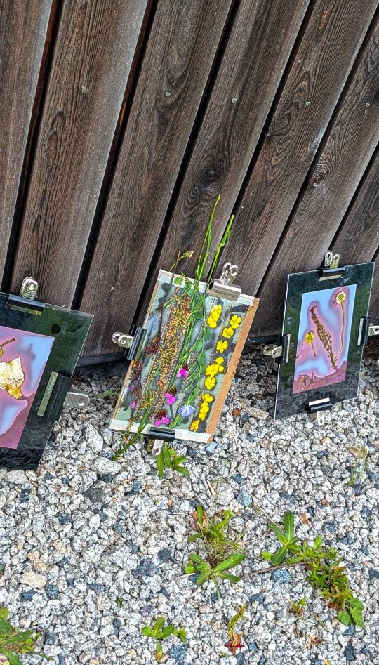 Alternative Photography workshop