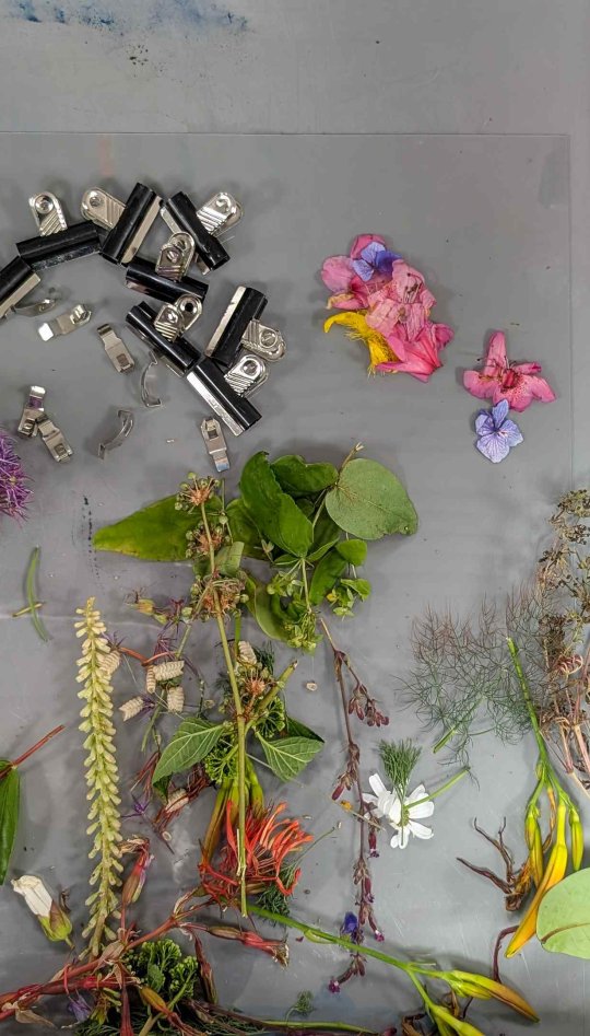 Alternative Photography workshop