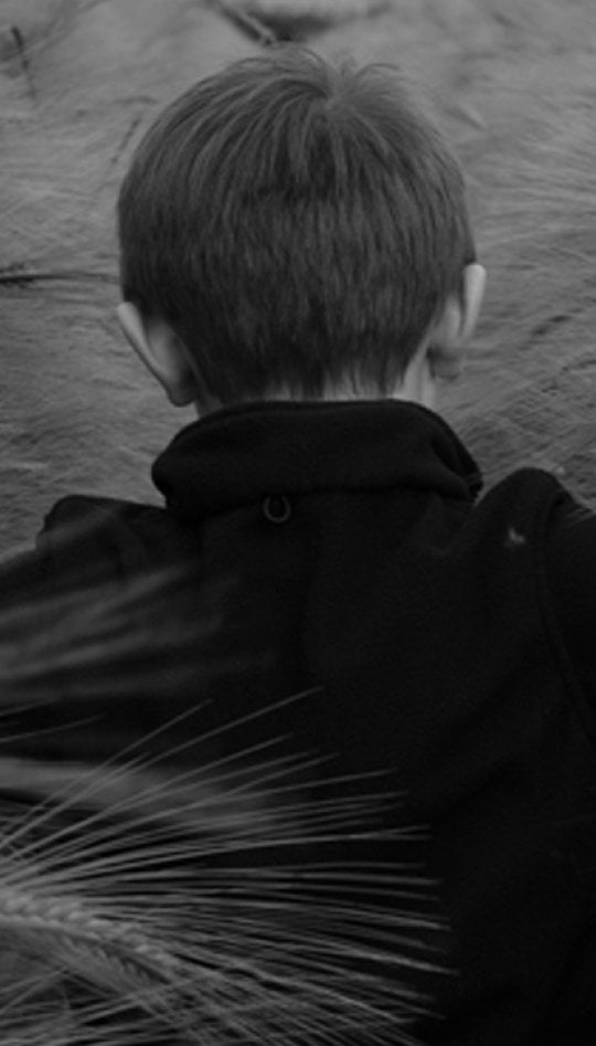 A boy walking through a field of wheat with his arms outstretched