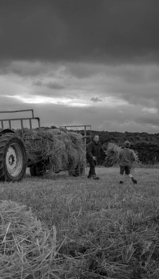 A man and boy loading hay onto a tractor