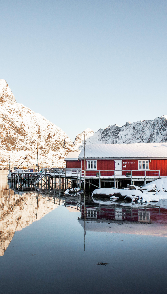 Perfect Reflection by Tom Critchley - MNHP