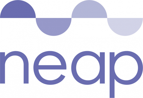 Neap Logo - Launchpad Portfolio