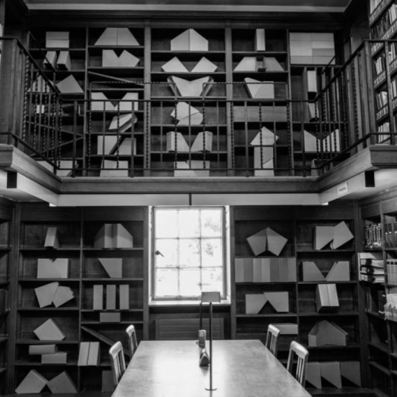 Library room with shite sculptures where there would be books