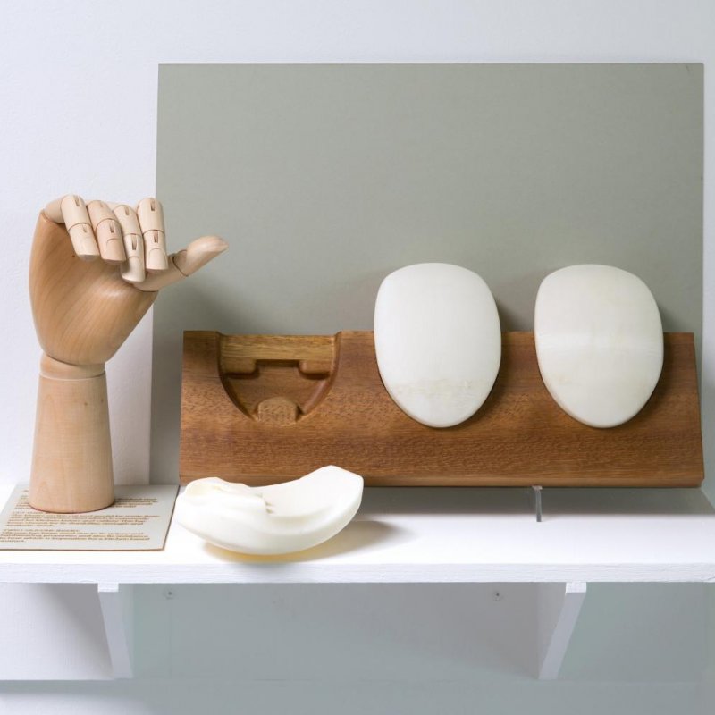 Wooden hand on display next to white oval shapes.