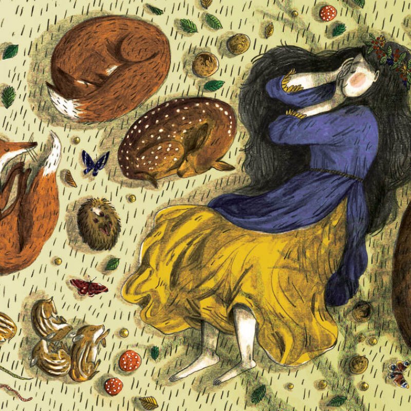 Illustration of girl and woodland animals curled up and sleeping among leaves and toadstools.